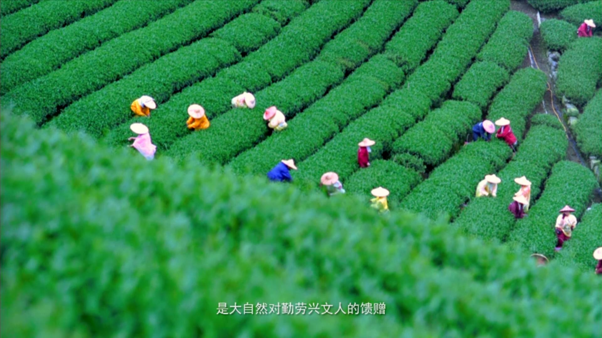 兴文招商宣传片（最终版）20201225.mp4_20230518_103530141.jpg